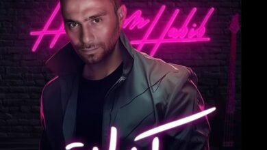 حسام حبيب