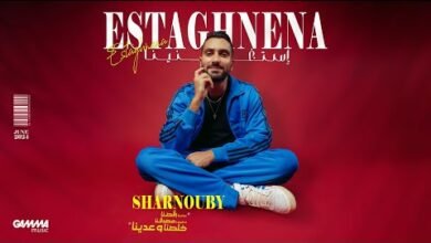 محمد الشرنوبي