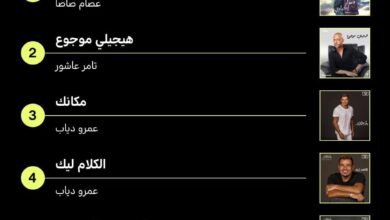 انغامي