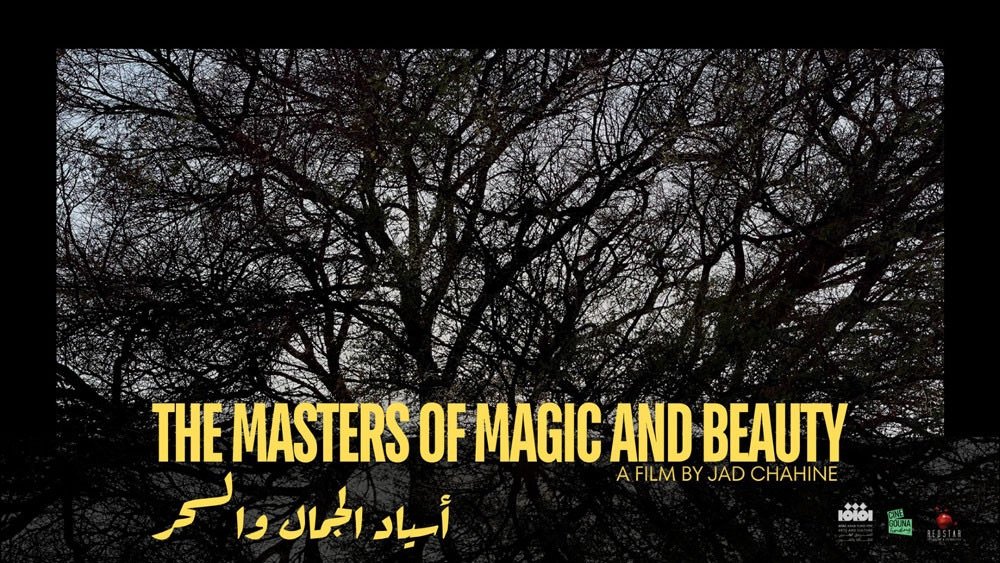 فيلم أسياد الجمال والسحر